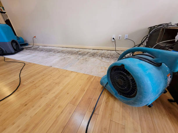 Professional Sewage Cleanup technician working in Canton, IL